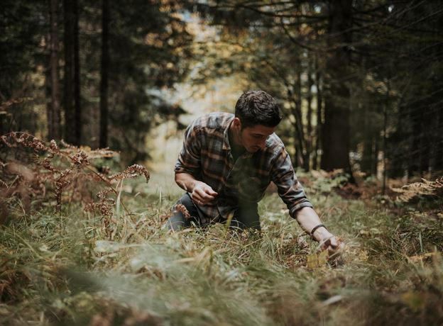 Nature and us - the fascination of fermented herbal drinks